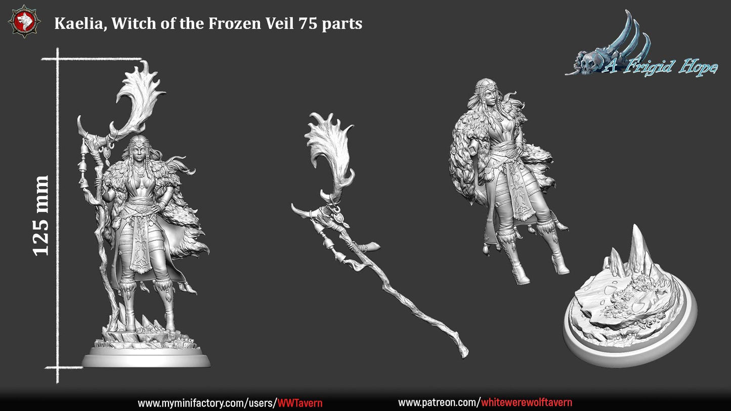 Frost Witch, Kaelia of the Frozen Veil - 32mm, 75mm Scale - Unpainted Miniature for DnD, Pathfinder, Tabletop RPGs - White Werewolf Tavern