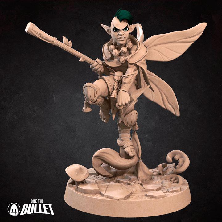 Pixie Monk, Male Pixie - 32mm, 35mm Scale - Unpainted Miniature for DnD, Pathfinder, Tabletop RPGs - Bite the Bullet