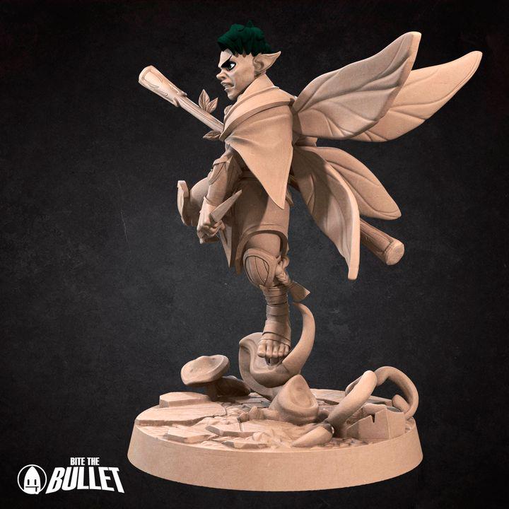 Pixie Monk, Male Pixie - 32mm, 35mm Scale - Unpainted Miniature for DnD, Pathfinder, Tabletop RPGs - Bite the Bullet