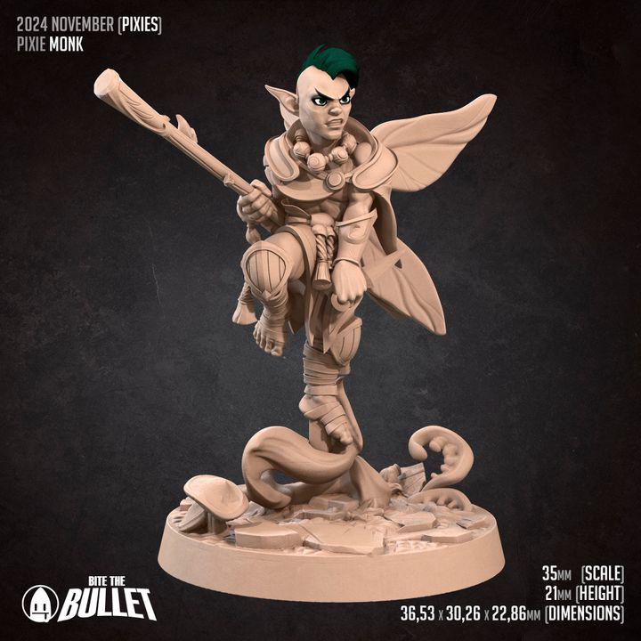 Pixie Monk, Male Pixie - 32mm, 35mm Scale - Unpainted Miniature for DnD, Pathfinder, Tabletop RPGs - Bite the Bullet