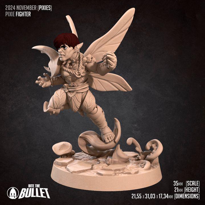 Pixie Fighter, Male Pixie - 32mm, 35mm Scale - Unpainted Miniature for DnD, Pathfinder, Tabletop RPGs - Bite the Bullet