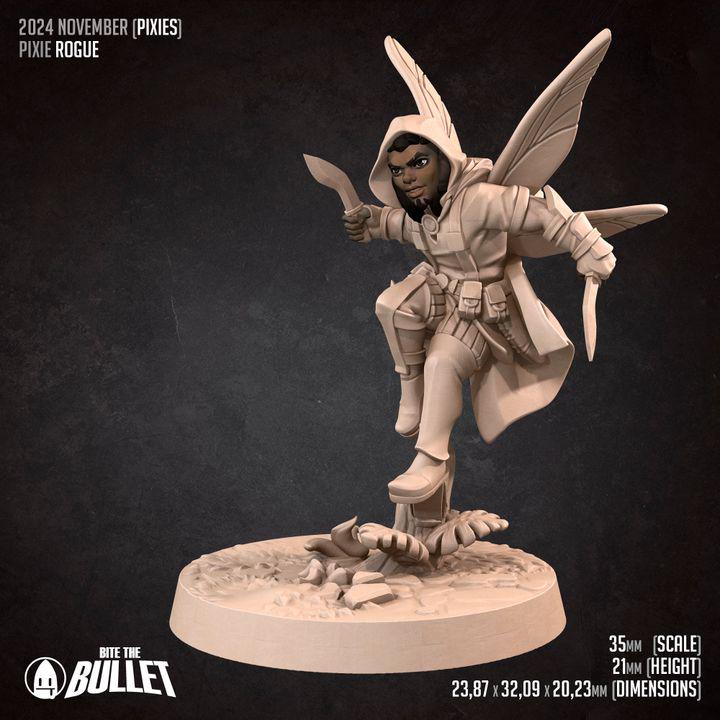 Pixie Rogue, Male Pixie - 32mm, 35mm Scale - Unpainted Miniature for DnD, Pathfinder, Tabletop RPGs - Bite the Bullet