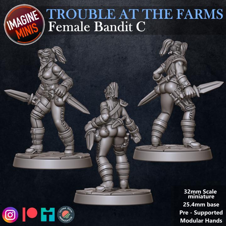 Masked Female Bandit, Pose C - Trouble At Farms Set - 32mm Scale - Unpainted Miniature for DnD, Pathfinder, Tabletop RPGs - Imagine Minis