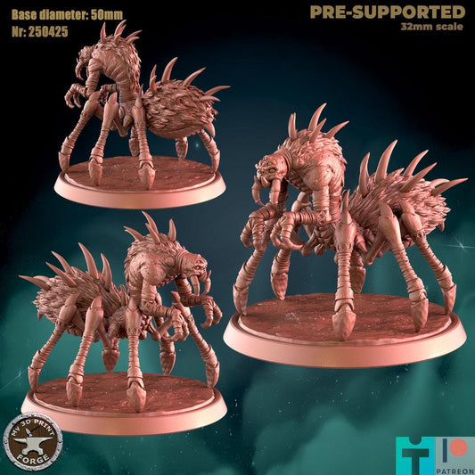 Crypt Spider, Two Poses - 32mm Scale - Unpainted Miniature for DnD, Pathfinder, Tabletop RPGs - My3dPrintForge