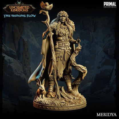 Human Druid, Meridya, Uncharted Kingdoms - 28mm, 32mm, 75mm Scale - Unpainted Miniature for DnD, Pathfinder, Tabletop RPGs