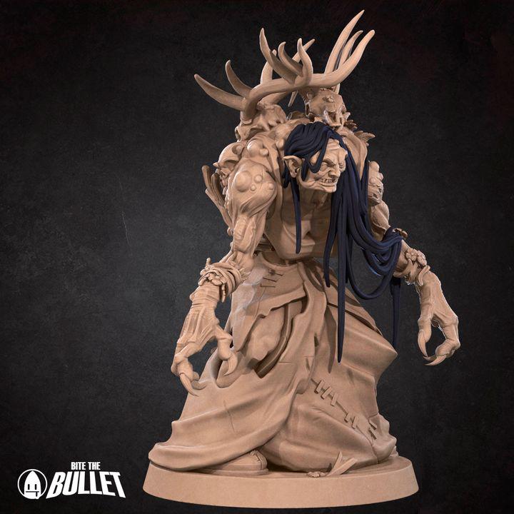 Annis Hag - 32mm, 35mm Scale - Unpainted Miniature for DnD, Pathfinder, Tabletop RPGs - Bite the Bullet