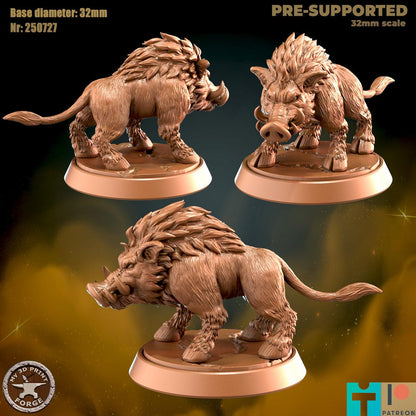 Maned Boar - 2 Poses - 32mm Scale - Unpainted Miniature for DnD, Pathfinder, Tabletop RPGs - My3dPrintForge