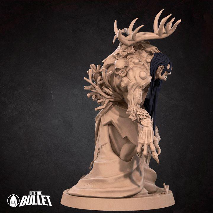 Annis Hag - 32mm, 35mm Scale - Unpainted Miniature for DnD, Pathfinder, Tabletop RPGs - Bite the Bullet