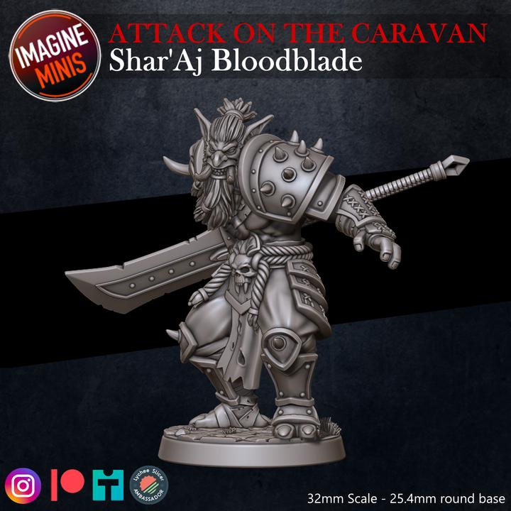 Troll Fighter, Shar'Aj Bloodblade - Attack on the Caravan Set - Unpainted Miniature