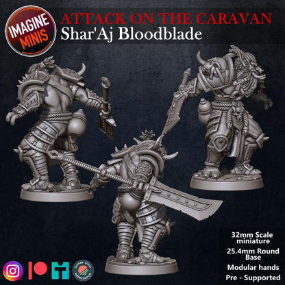 Troll Fighter, Shar'Aj Bloodblade - Attack on the Caravan Set - Unpainted Miniature