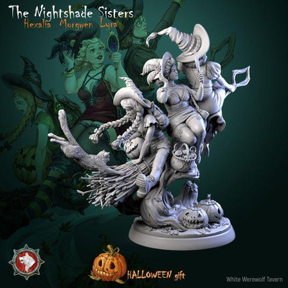The Nightshade Sisters, Witches on Broom - Unpainted Miniature