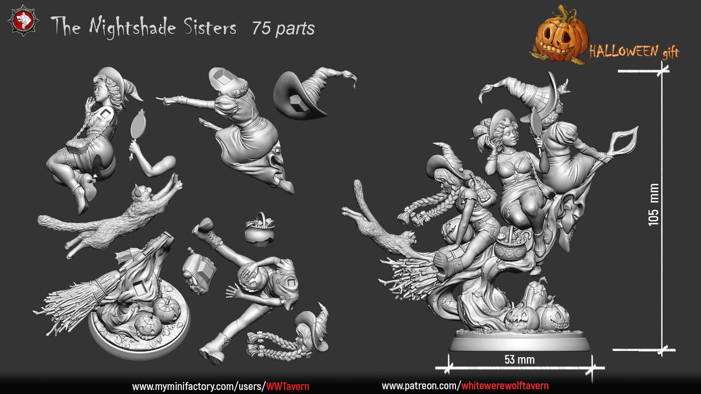 The Nightshade Sisters, Witches on Broom - Unpainted Miniature