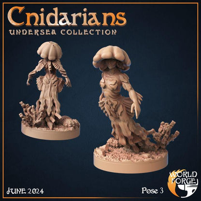 Cnidarians - Undersea Collection - Unpainted Miniature