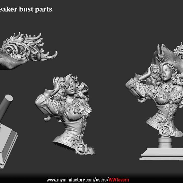 Elisa Stormbreaker, Female Pirate Captain - Unpainted Miniature Bust