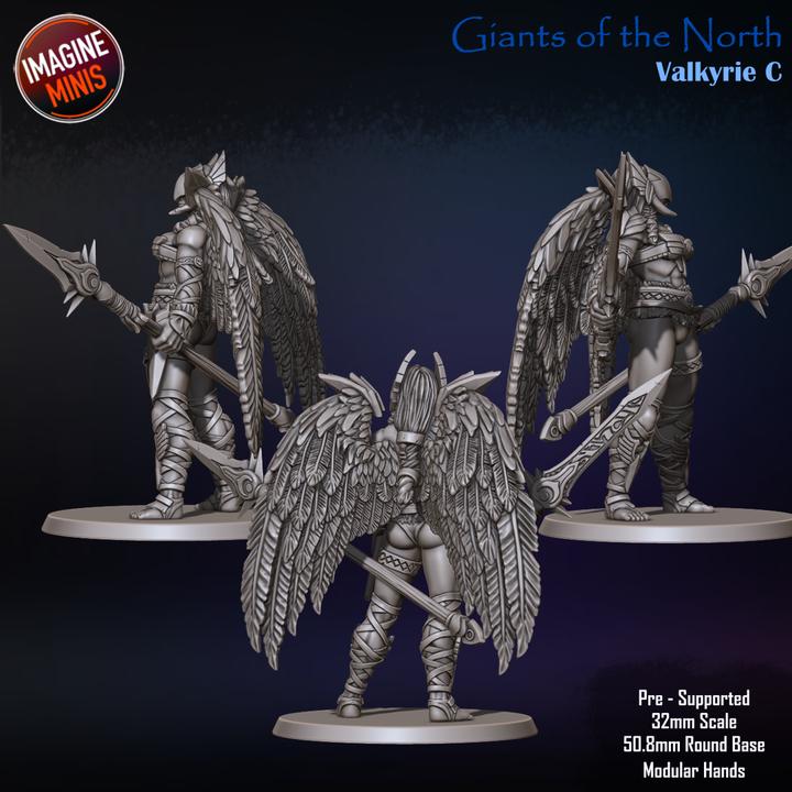 Giant Valkyrie, Pose C - Giants of the North - Unpainted Miniature