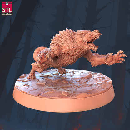 Classic Princess Set - 32mm Scale - Unpainted Miniature