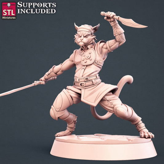 Tabaxi Fighter