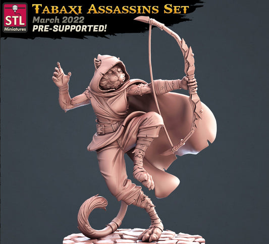 Assassin Miniature - Tabaxi Ranger