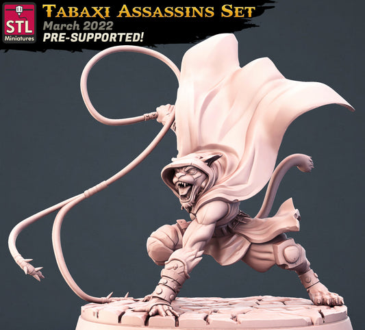 Assassin Miniature - Tabaxi Rogue