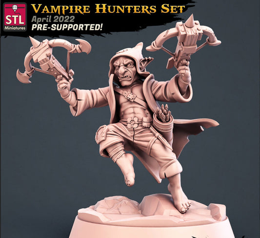 Vampire Hunter - Goblin Fighter