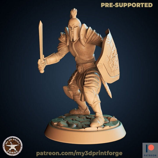 Human Paladin - Unpainted Miniature