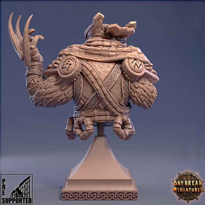 Feero Overglide - Aarakocra Bust