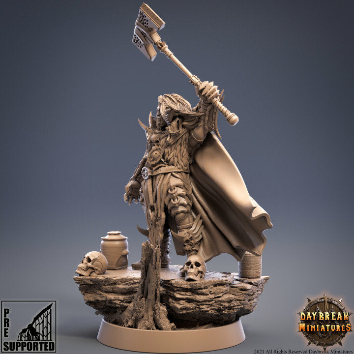 Heerenveldt von Strachenfeld - Vampire Miniature