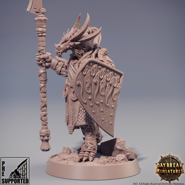 Mogok Moonslayer - Dragonborn Fighter Miniature