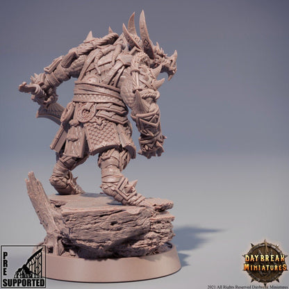 Kiarnak Stonecold - Dragonborn Fighter Miniature