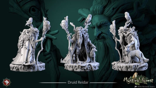 Druid Reidar - Unpainted Miniature