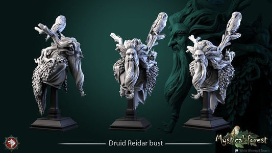 Druid Reidar Bust