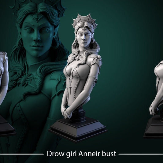 Anneir - Drow Bust