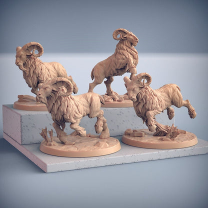 Rams - Artisan Guild - Unpainted Miniature