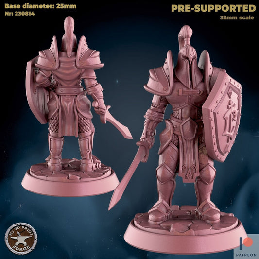 Female Footman with Sword & Shield - 2 Poses - Unpainted Miniature