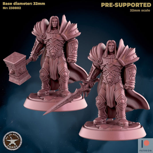 Human Paladin - 2 Poses - Unpainted Miniature