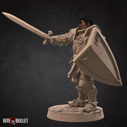 Hero Paladin - Male Paladin - Unpainted Miniature