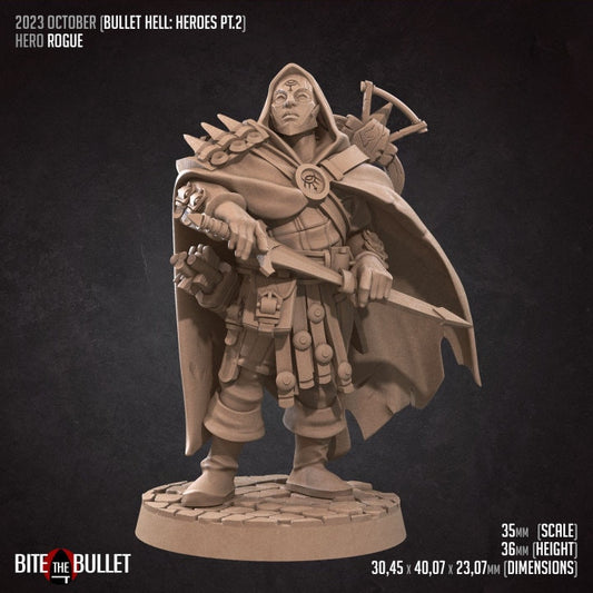 Hero Rogue - Male Rogue - Unpainted Miniature