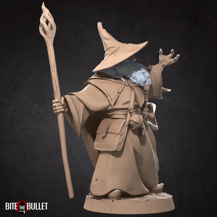 Wizard Explorer - Unpainted Miniature