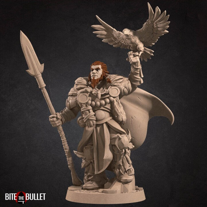 Hero Druid - Unpainted Miniature