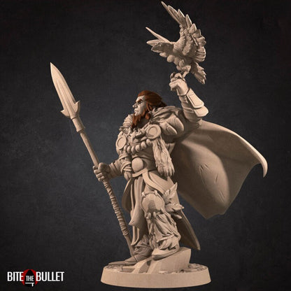 Hero Druid - Unpainted Miniature