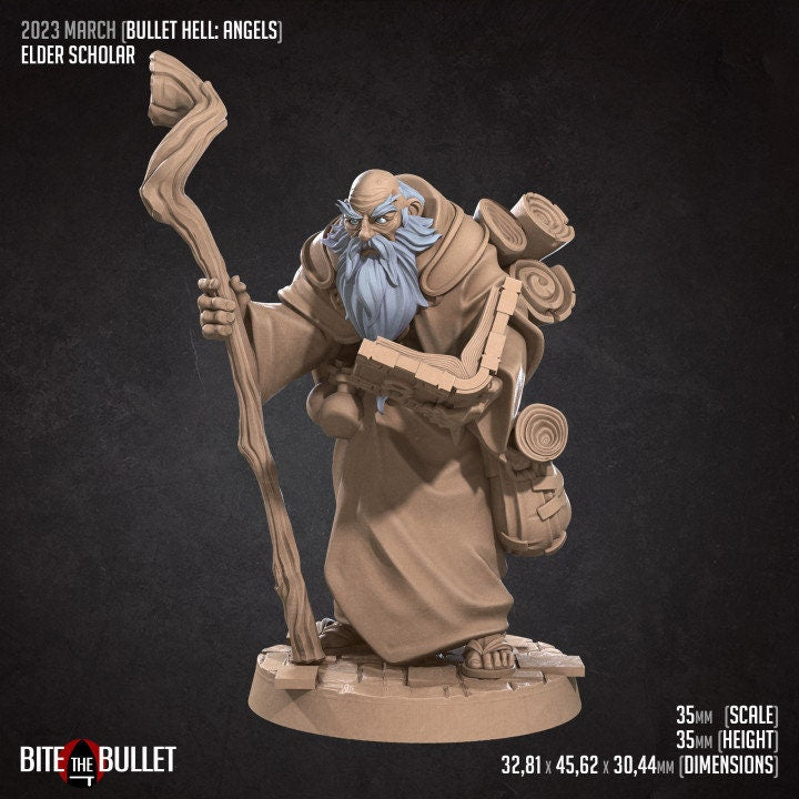 Elder Scholar - Unpainted Miniature