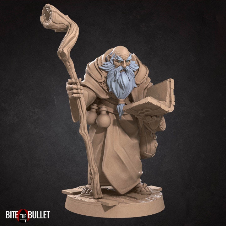 Elder Scholar - Unpainted Miniature