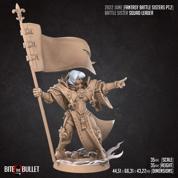 War Sister Leader - Unpainted Miniature