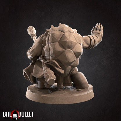 Tortle Monk - Unpainted Miniature