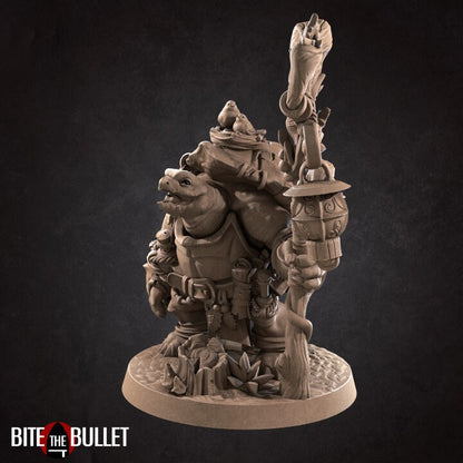 Tortle Druid - Unpainted Miniature