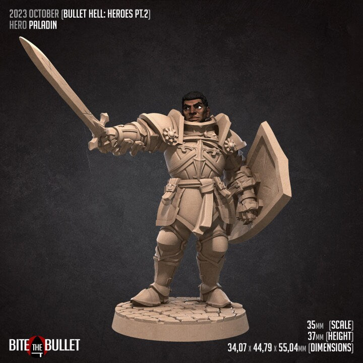 Hero Paladin - Male Paladin - Unpainted Miniature