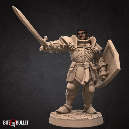 Hero Paladin - Male Paladin - Unpainted Miniature