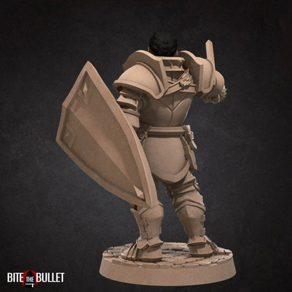 Hero Paladin - Male Paladin - Unpainted Miniature