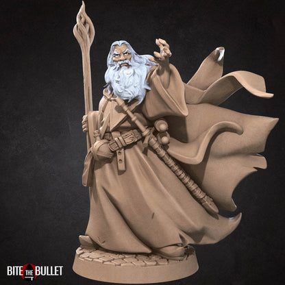 Wizard Explorer - Unpainted Miniature