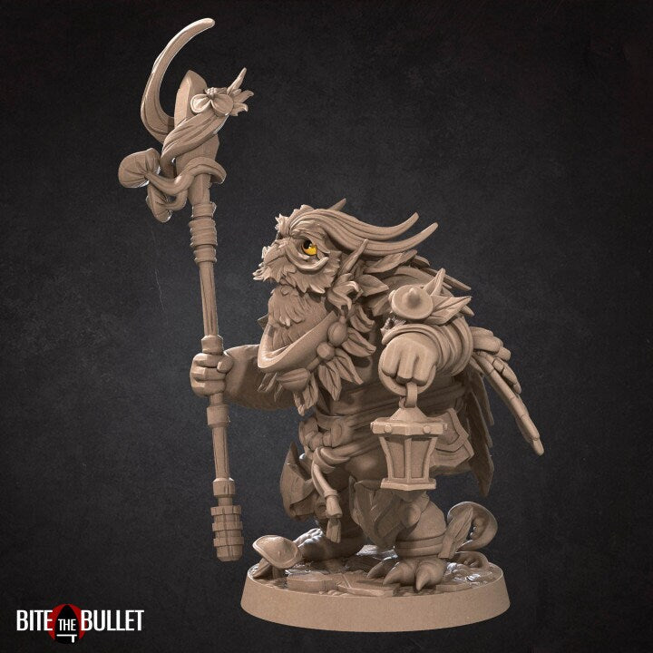 Owlfolk Druid - Unpainted Miniature